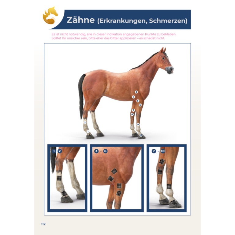 Okamed_Buch-Gitter-Pferde_Innenteil-RZ112-768x768